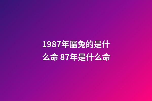 1987年屬兔的是什么命 87年是什么命-第1張-觀點-玄機派